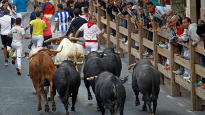 Tafalla Festival